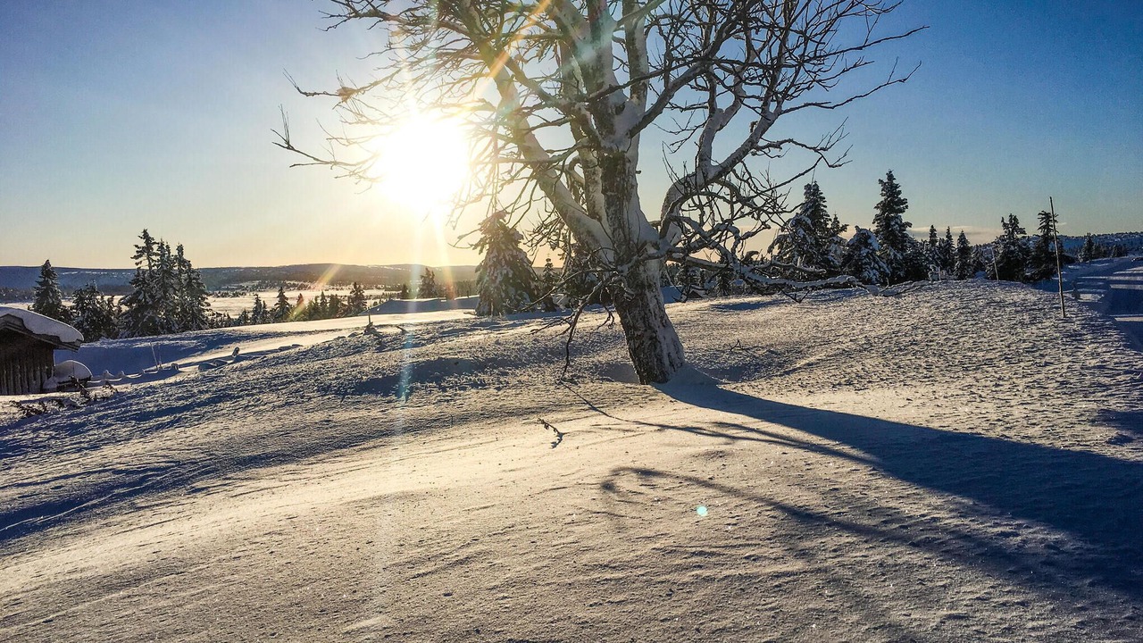 Photo of Bedroom in Sjusjoen