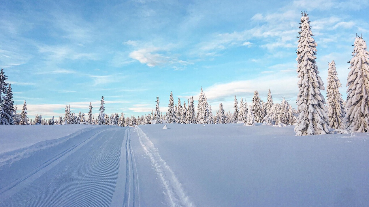Photo of Bedroom in Sjusjoen