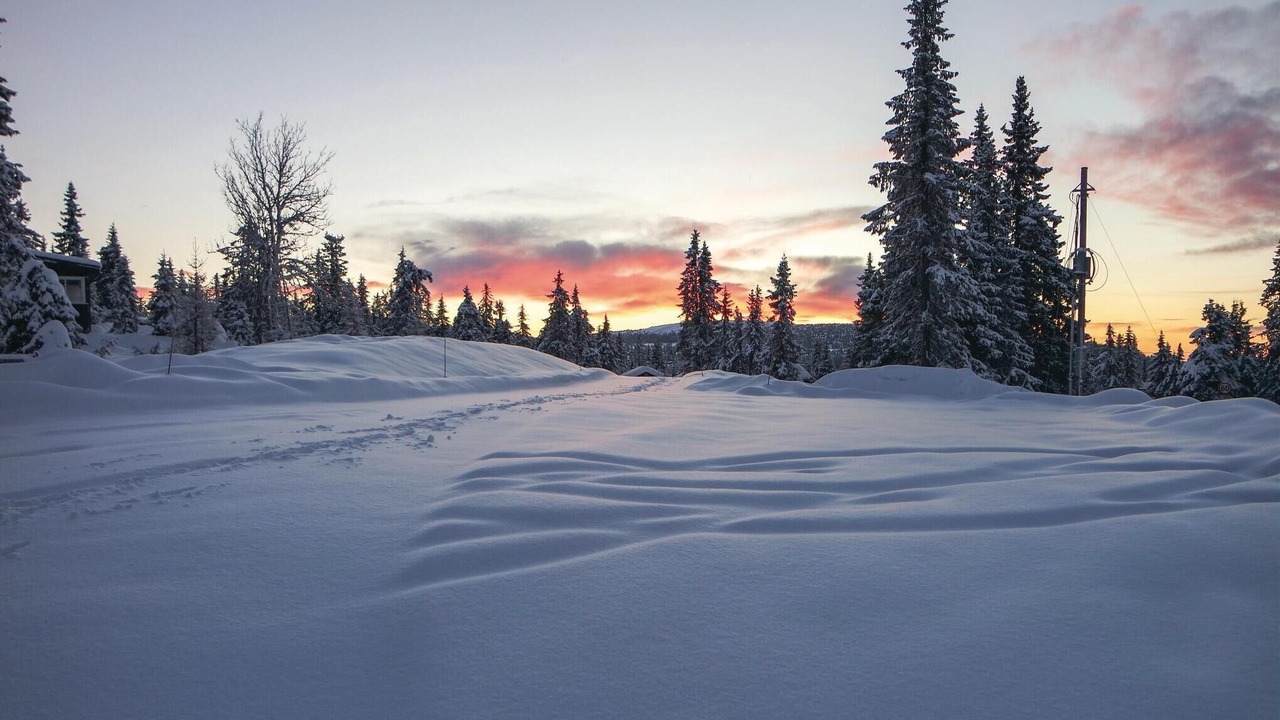 Photo of Others in Sjusjoen