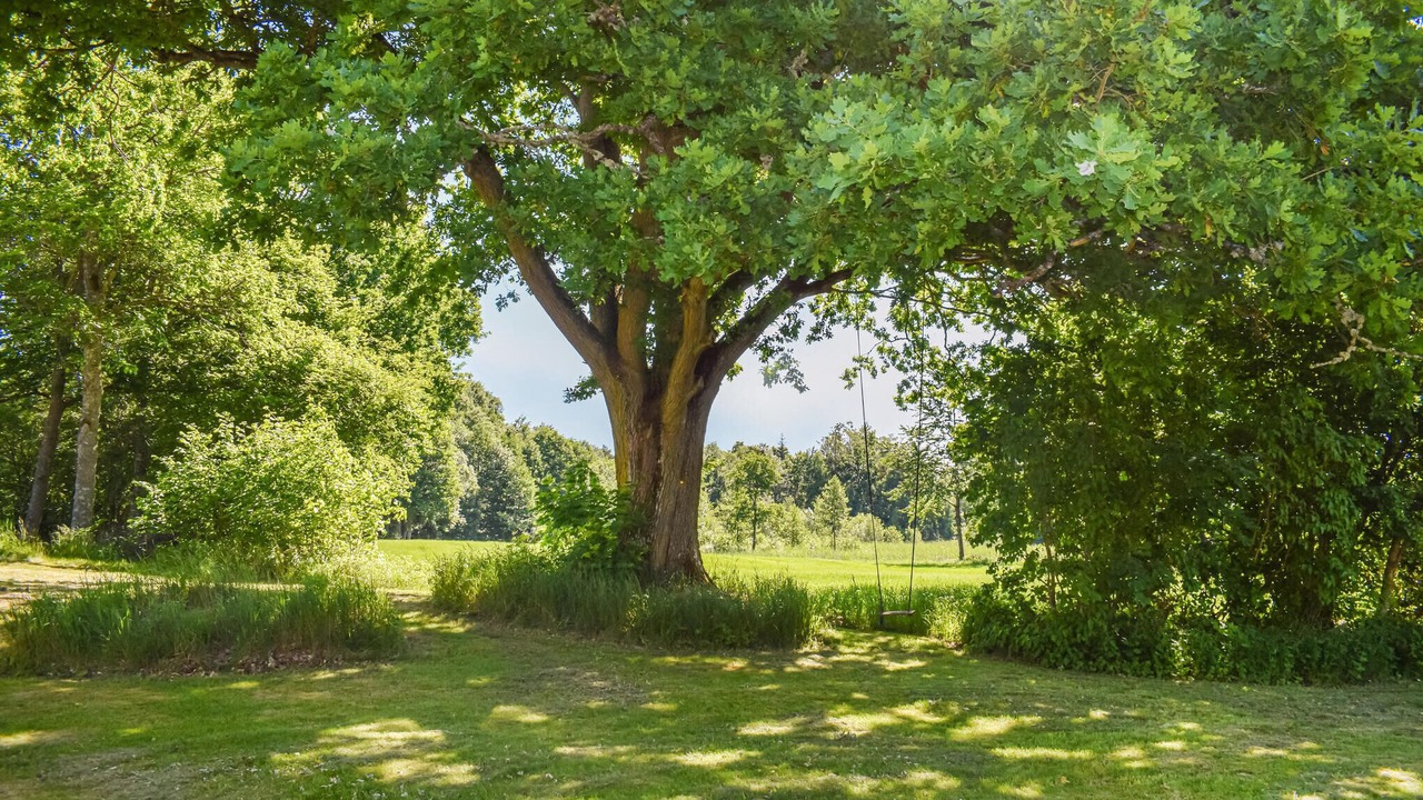 Photo of Others in Vrankunge