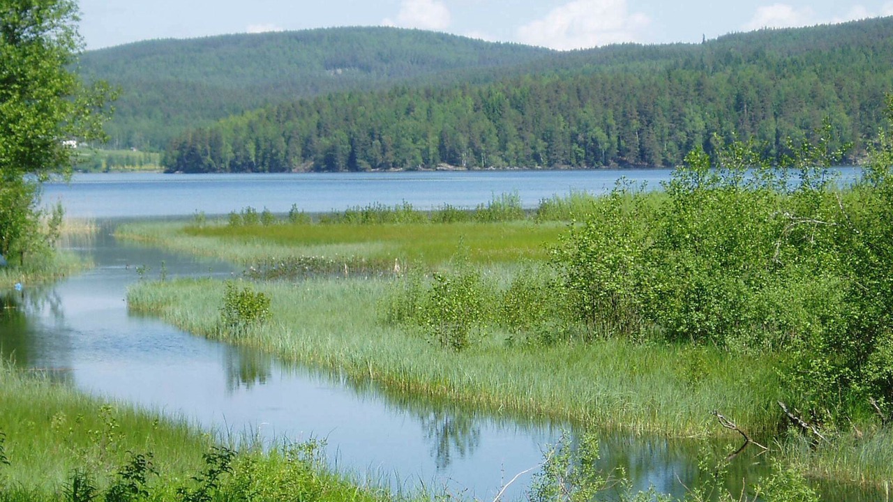 Photo of Others in Arvika Municipality