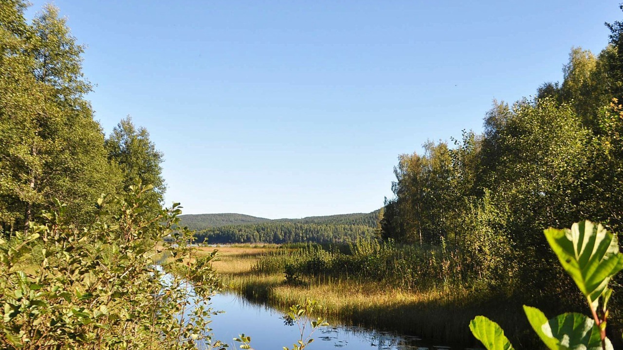 Photo of Others in Arvika Municipality