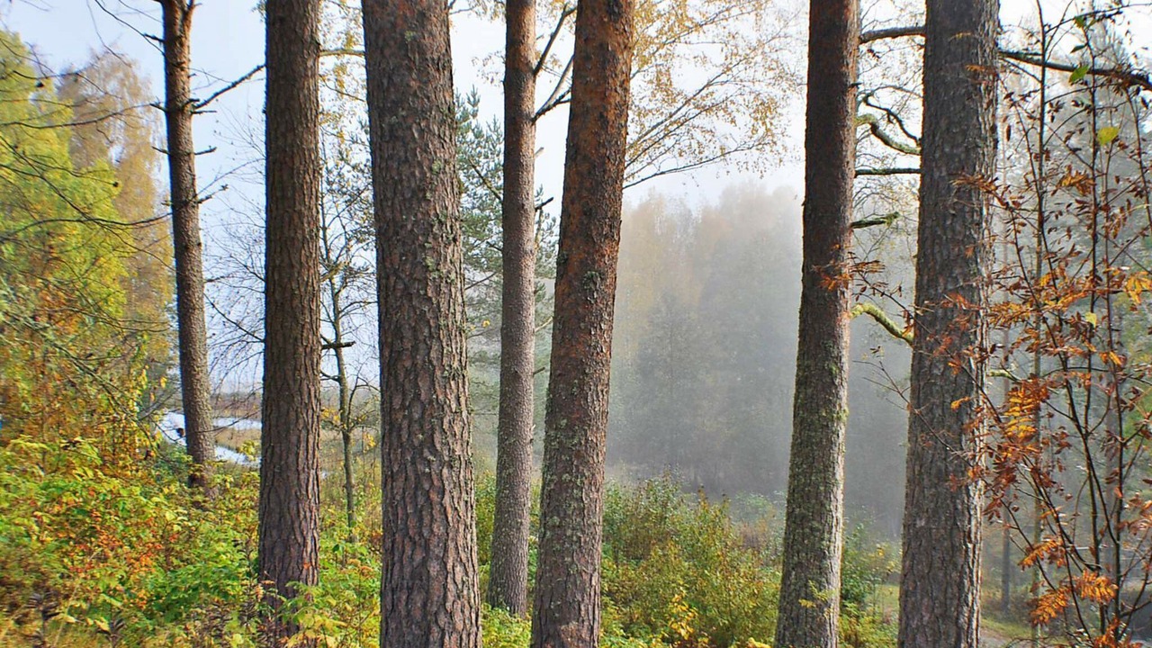 Photo of Others in Arvika Municipality