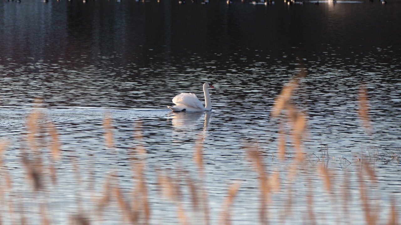 Photo of Outdoor in Karlskrona Municipality