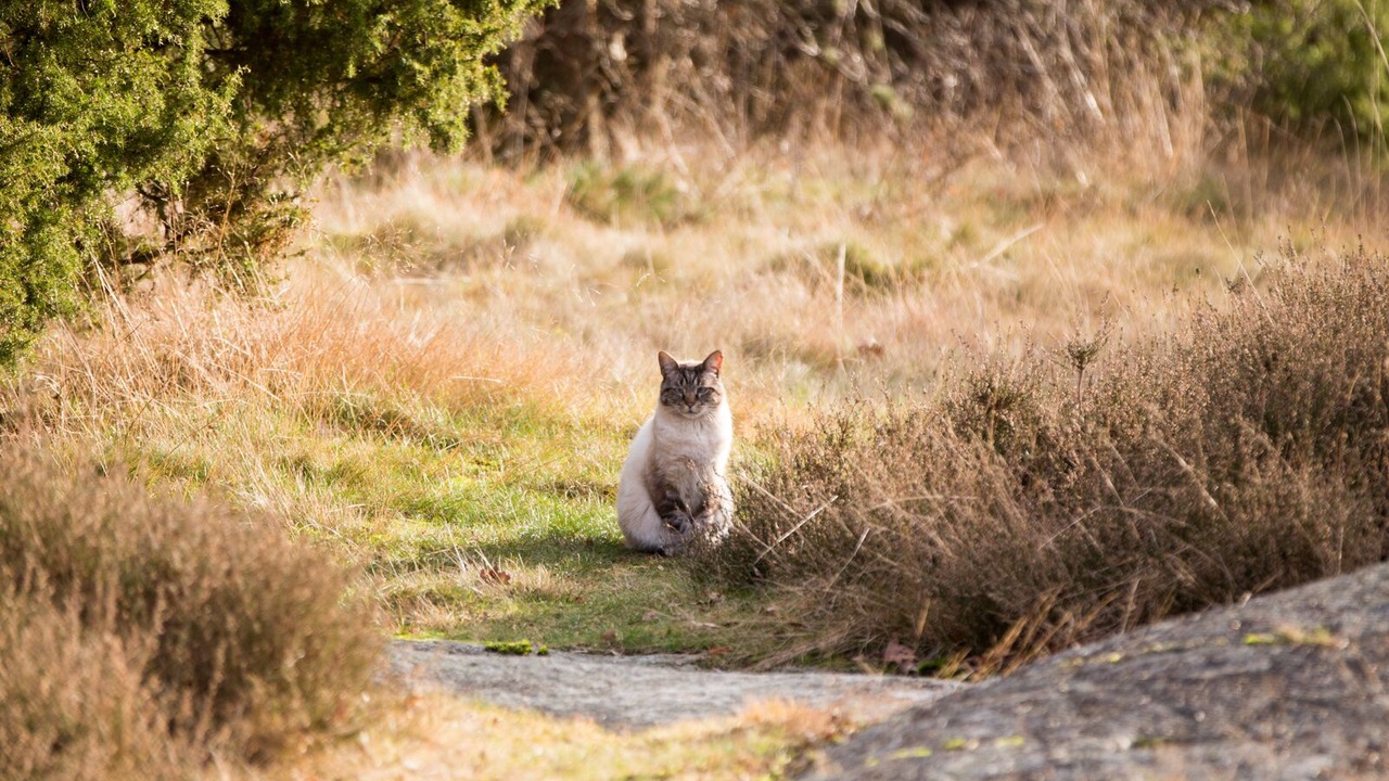 Photo of Outdoor in Karlskrona Municipality