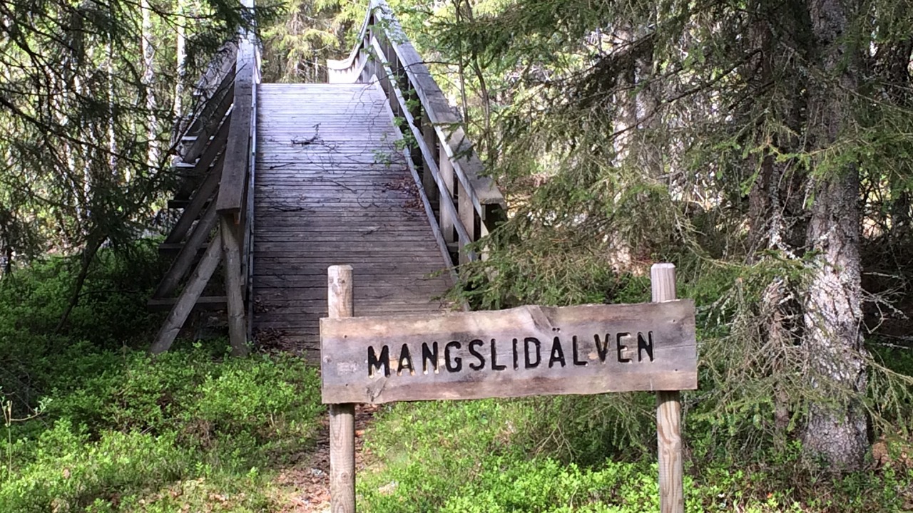 Photo of Outdoor in Torsby Municipality