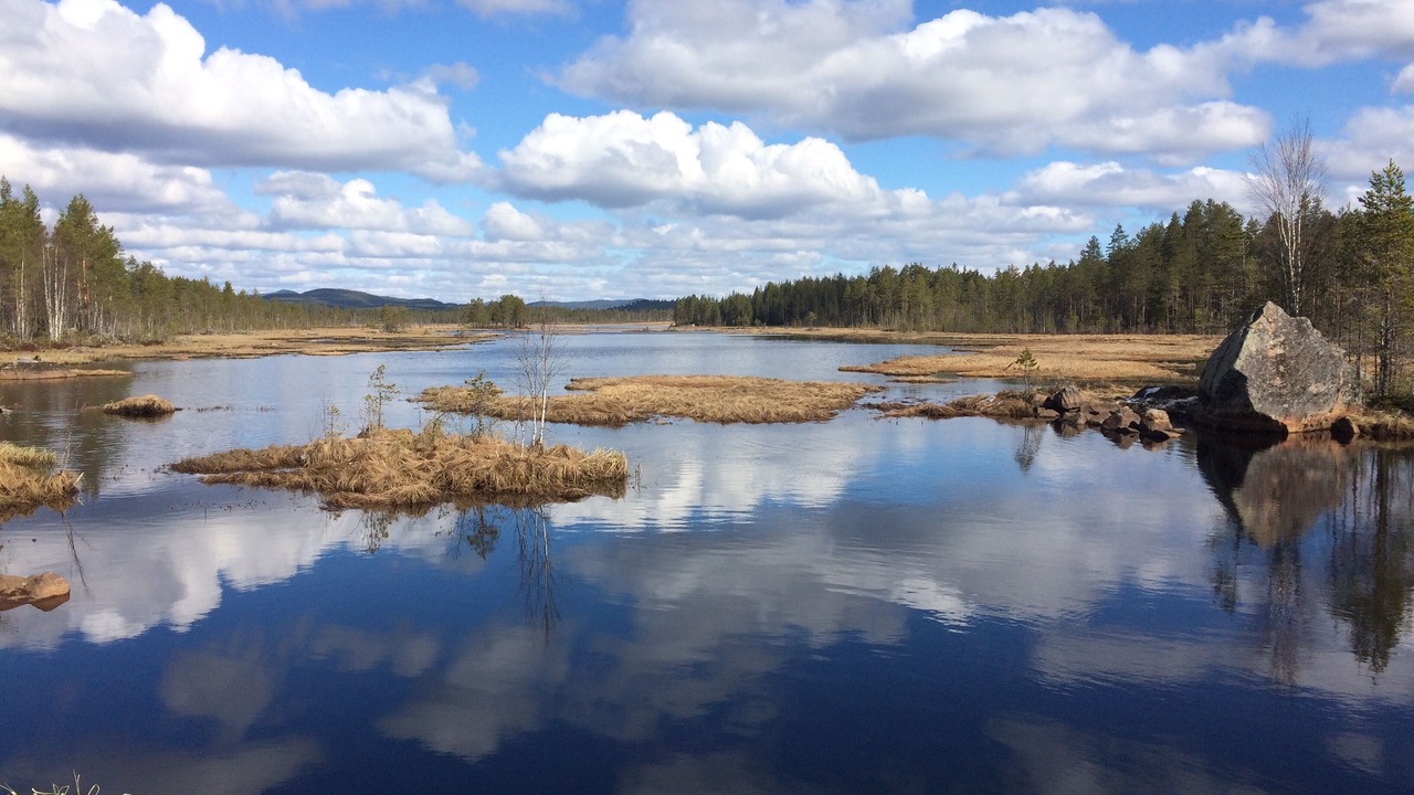 Photo of Others in Torsby Municipality
