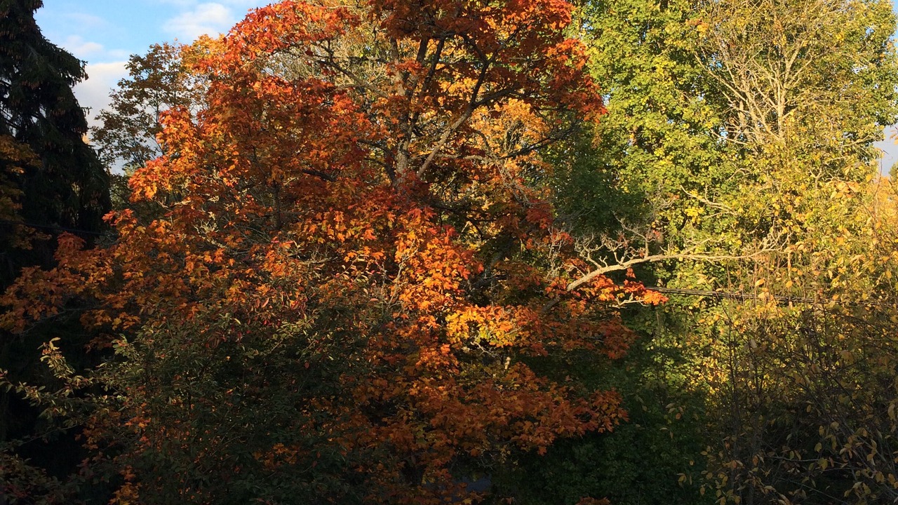 Photo of Outdoor in Taby
