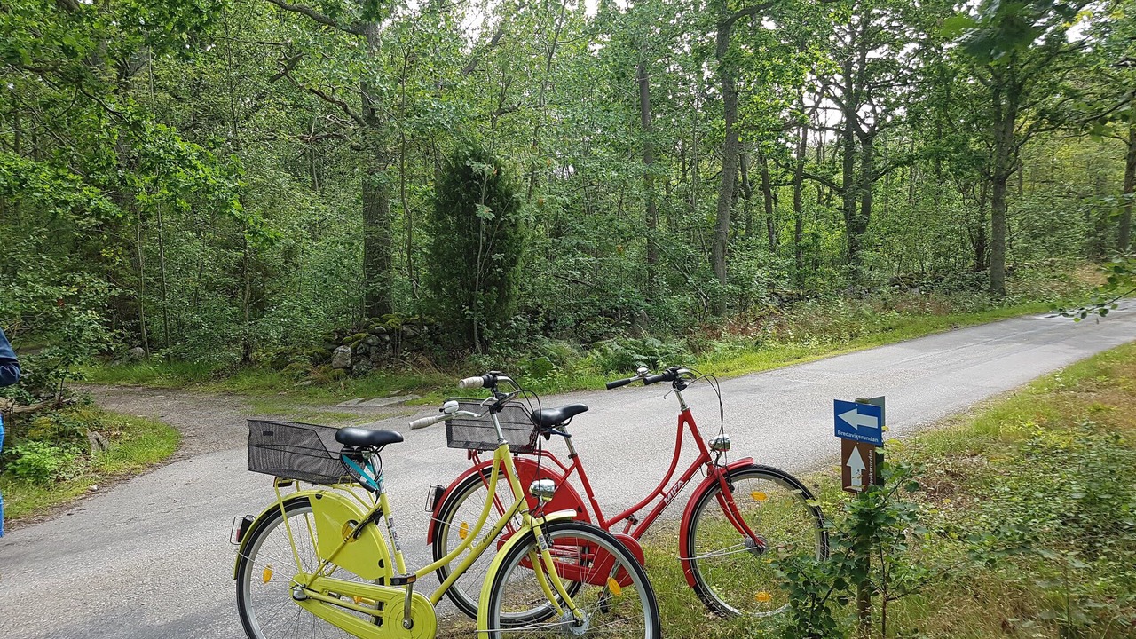 Photo of Outdoor in Sturko