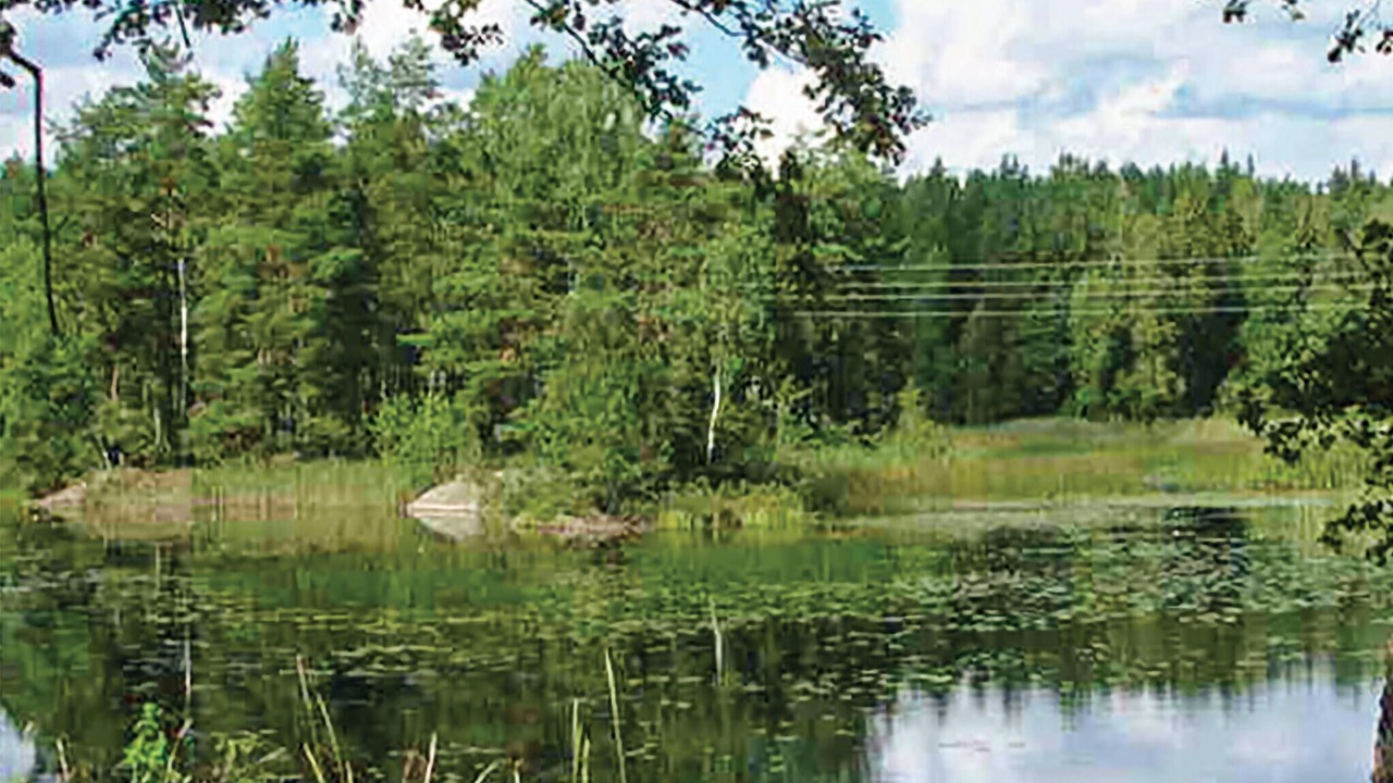 Photo of Others in Vimmerby Municipality