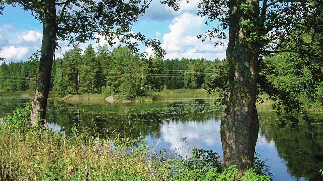 Photo of Others in Vimmerby Municipality