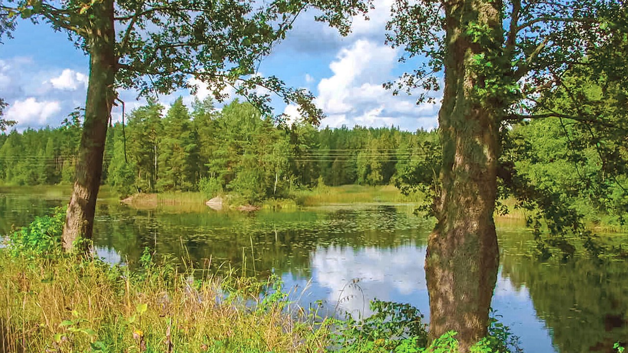 Photo of Others in Vimmerby Municipality