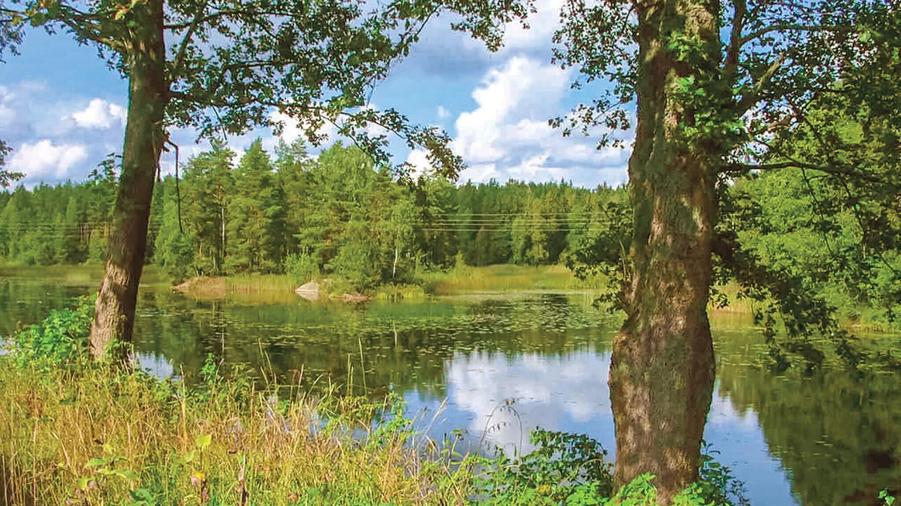 Photo of Others in Vimmerby Municipality