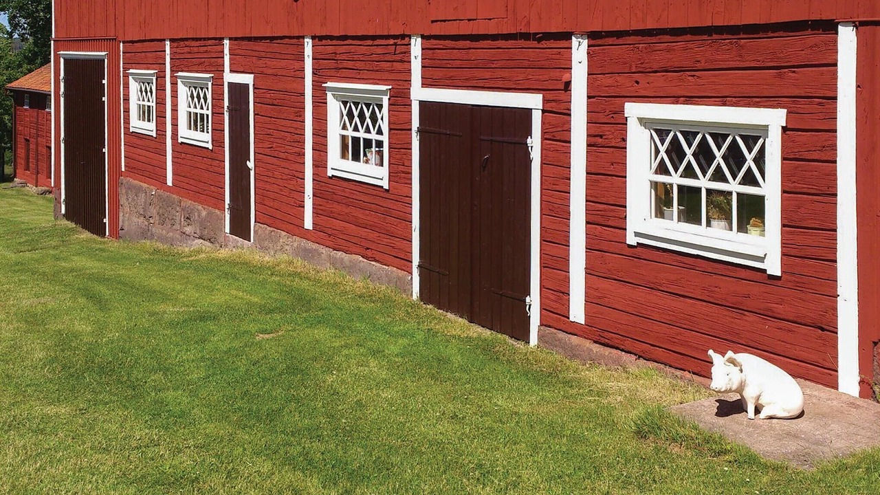 Photo of Others in Vimmerby Municipality
