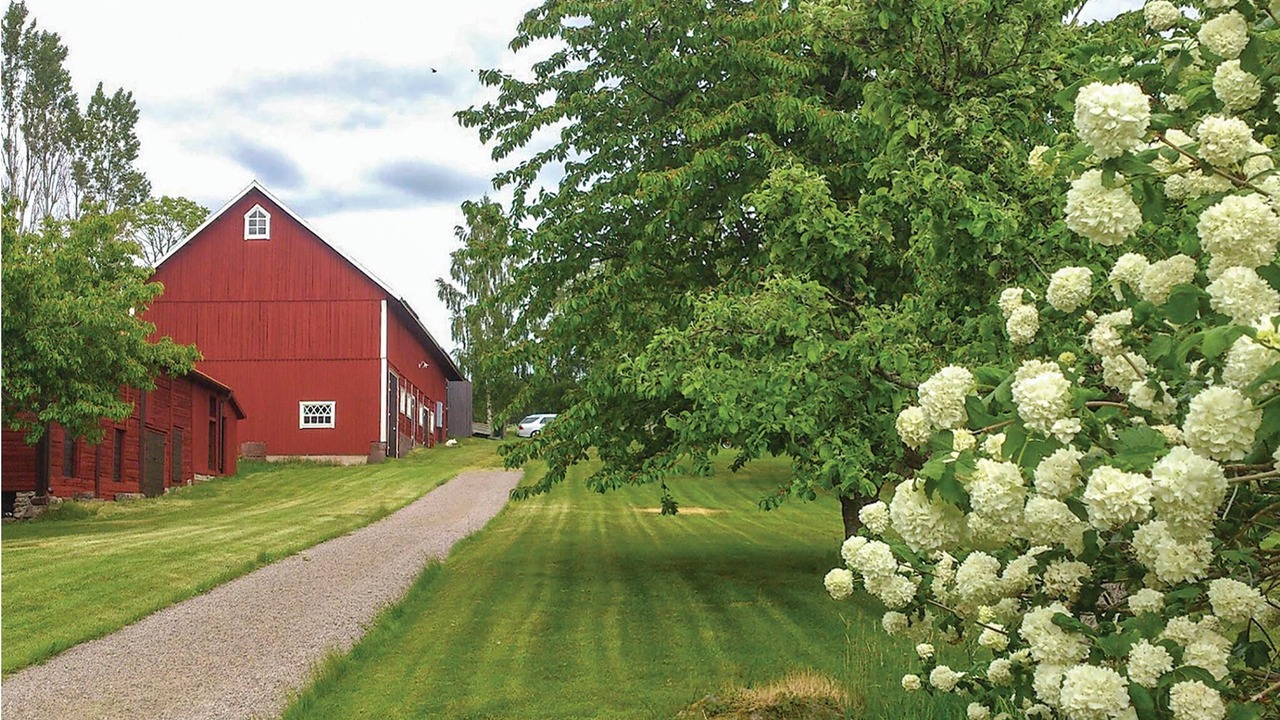 Photo of Others in Vimmerby Municipality
