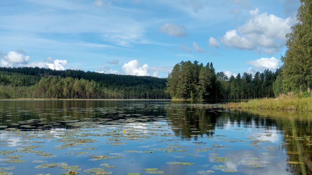 Photo of Outdoor in Axland
