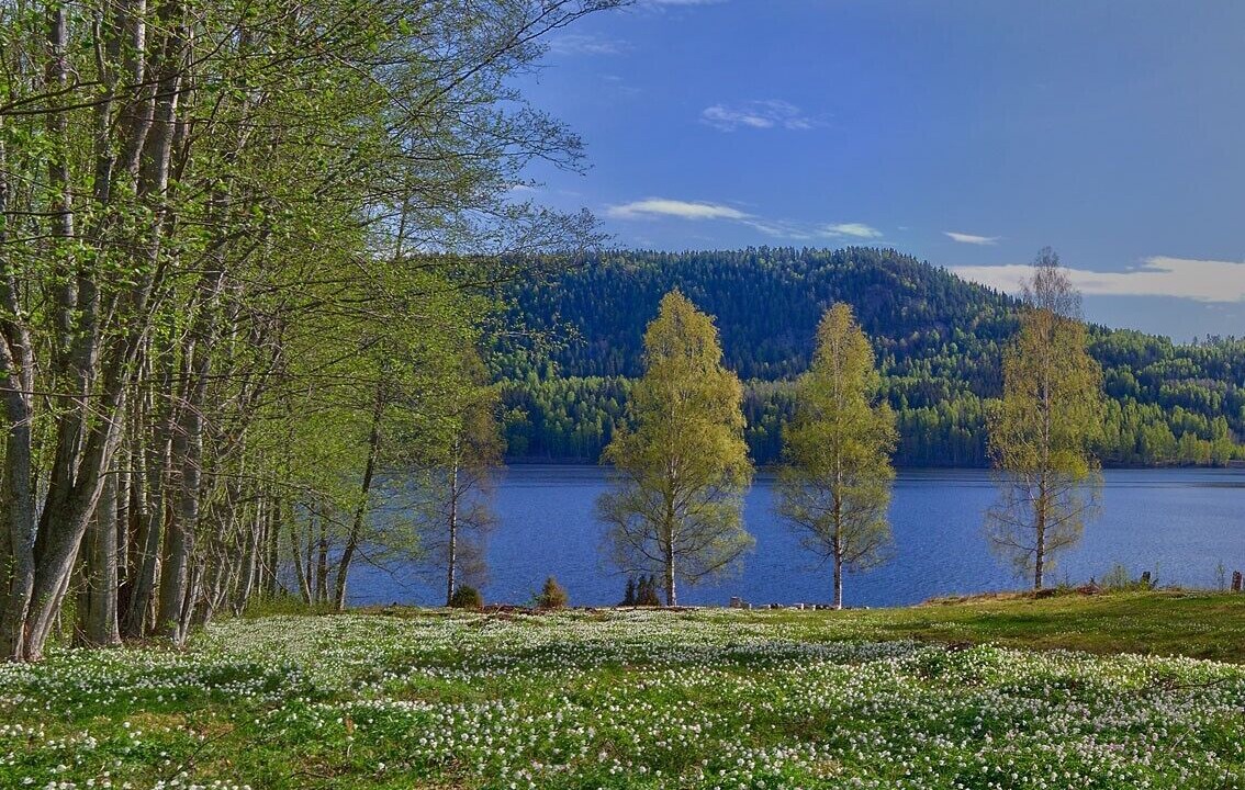 Photo of Outdoor in Sunne Municipality