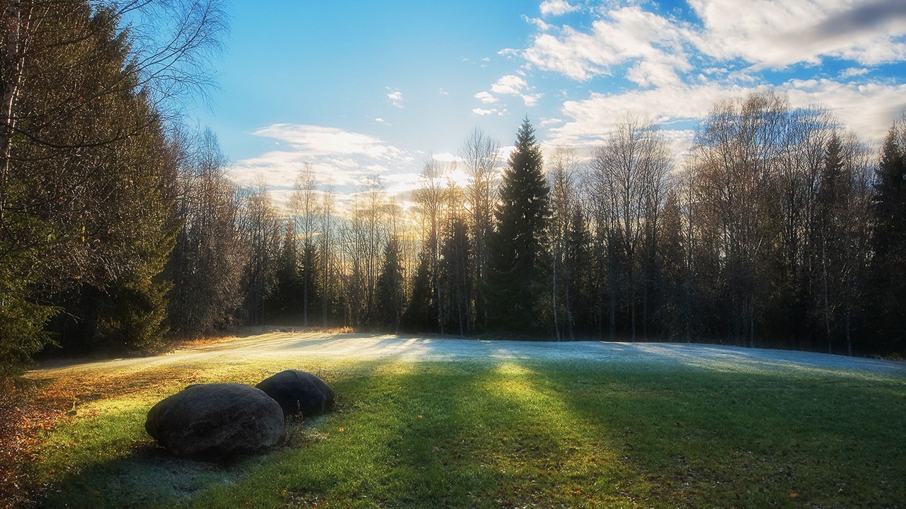 Photo of Others in Gunnarskog