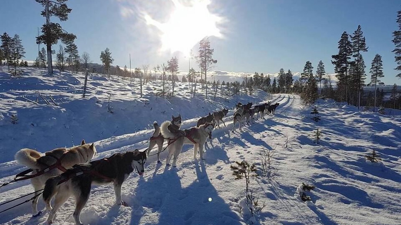 Photo of Others in Grondalen