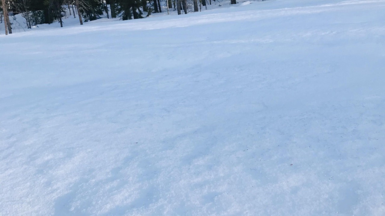Photo of Others in Grondalen