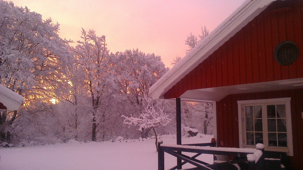 Photo of Outdoor in Listarum