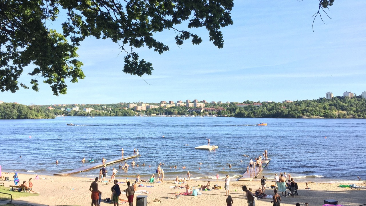 Photo of Others in Hoglandet