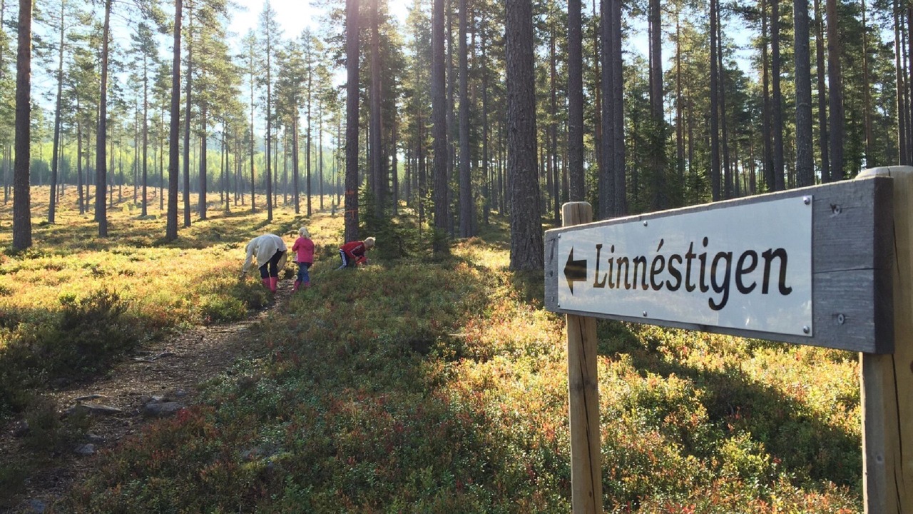Photo of Outdoor in Mora