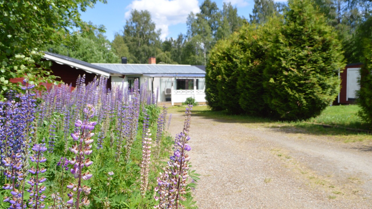 Photo of Outdoor in Ockelbo