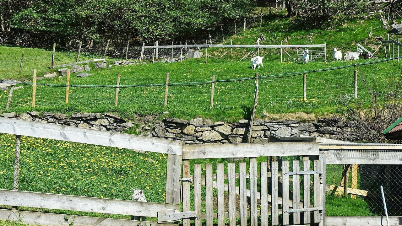 Photo of Others in Tysnes