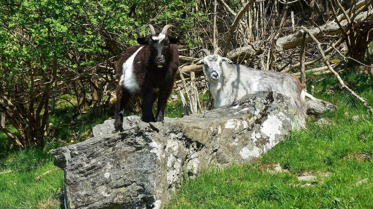 Photo of Others in Tysnes