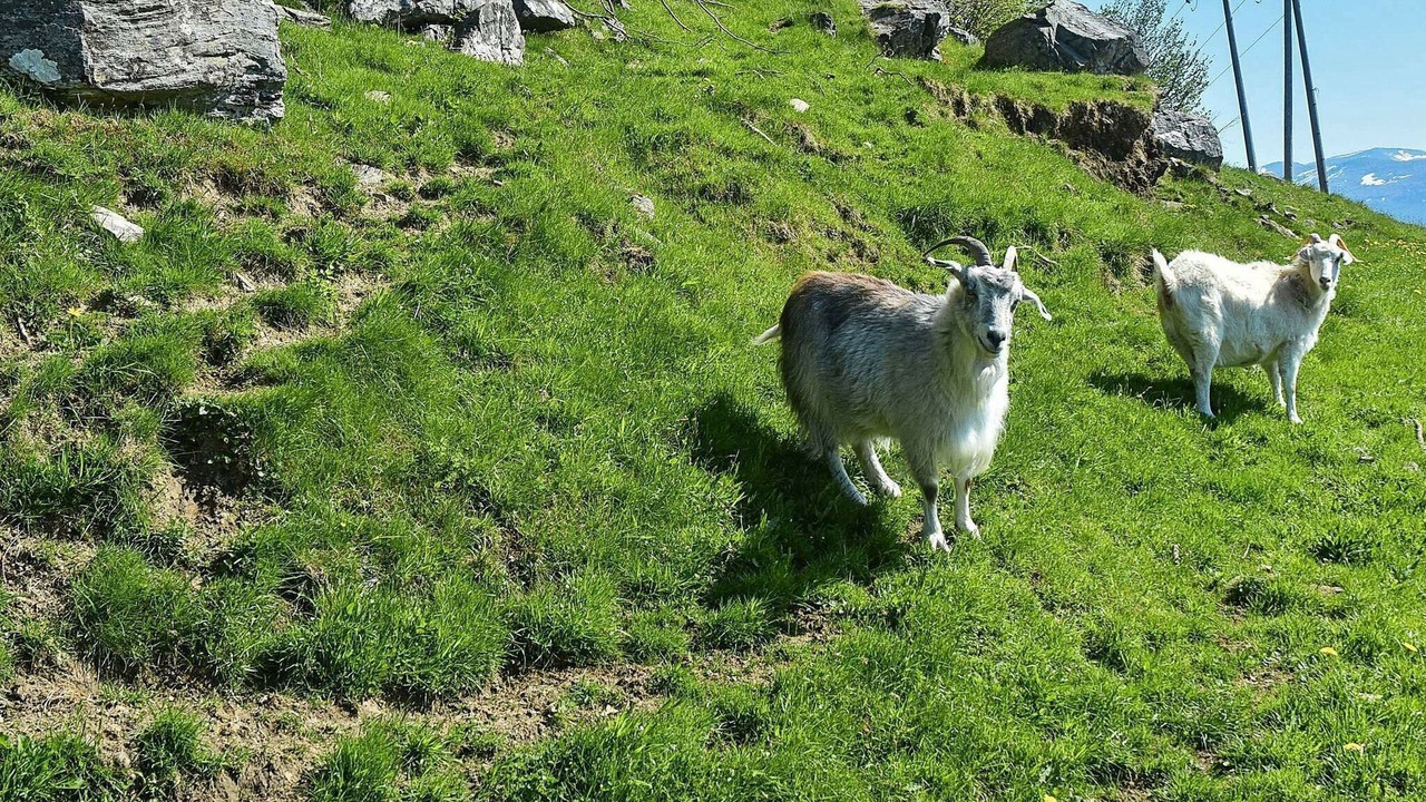 Photo of Others in Tysnes