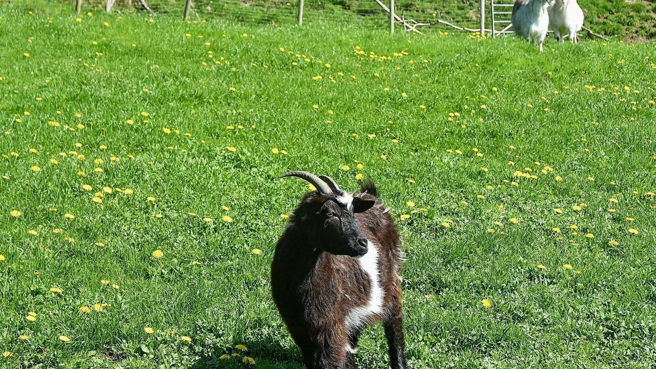 Photo of Others in Tysnes