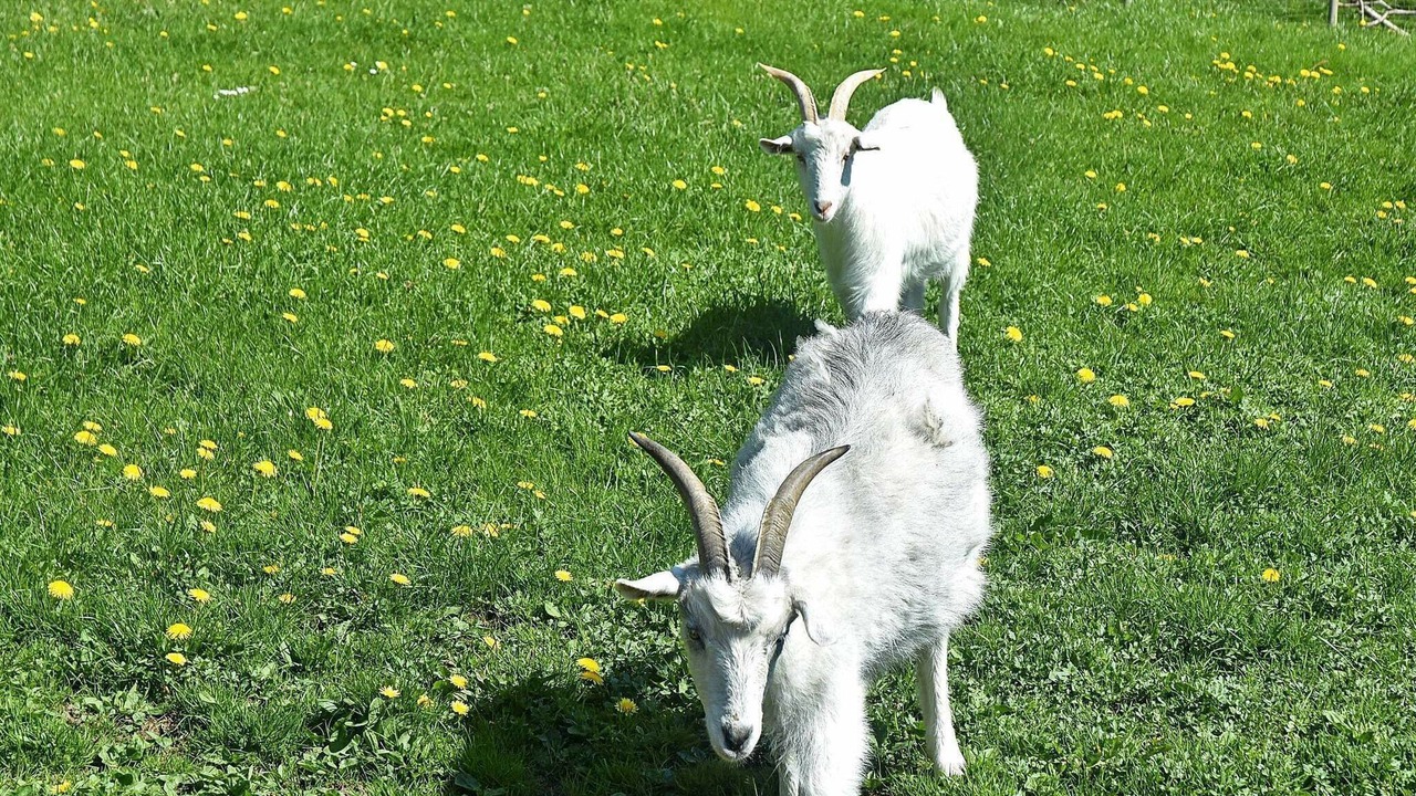 Photo of Others in Tysnes