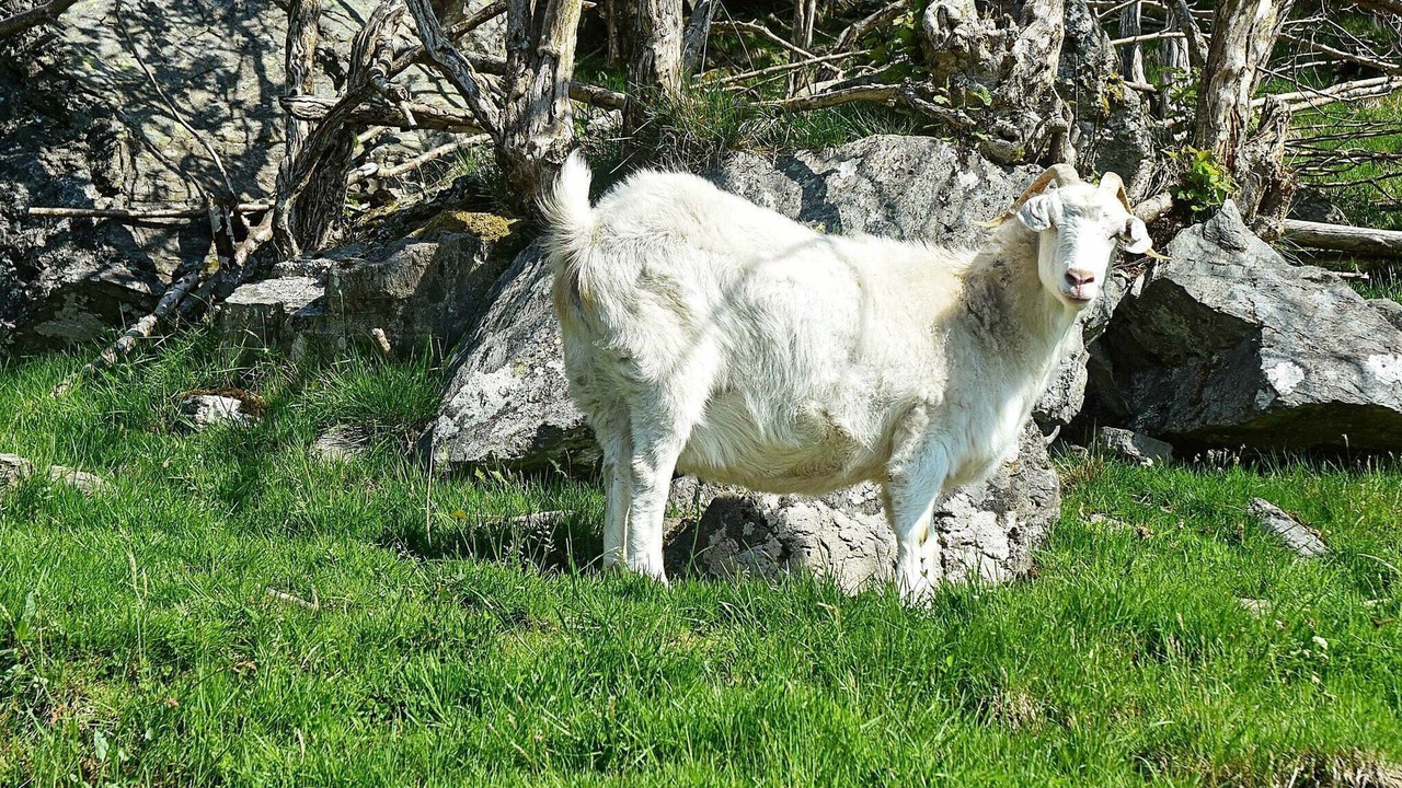Photo of Others in Tysnes