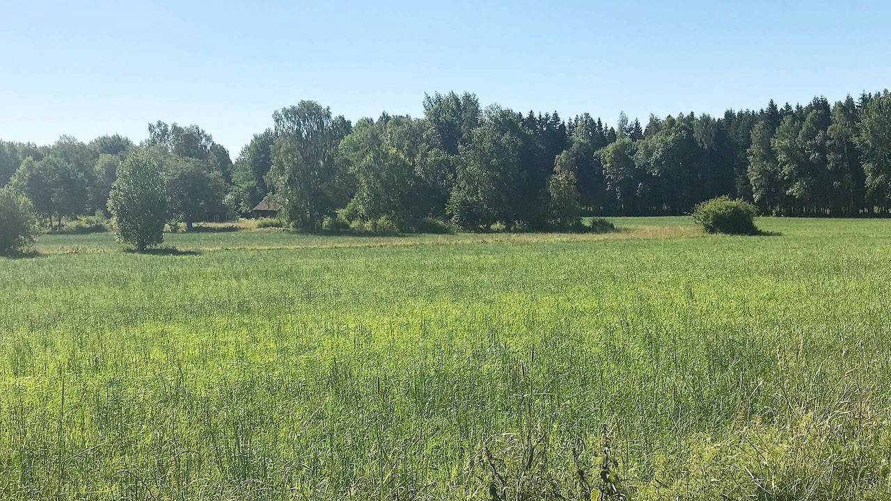 Photo of Outdoor in Vara