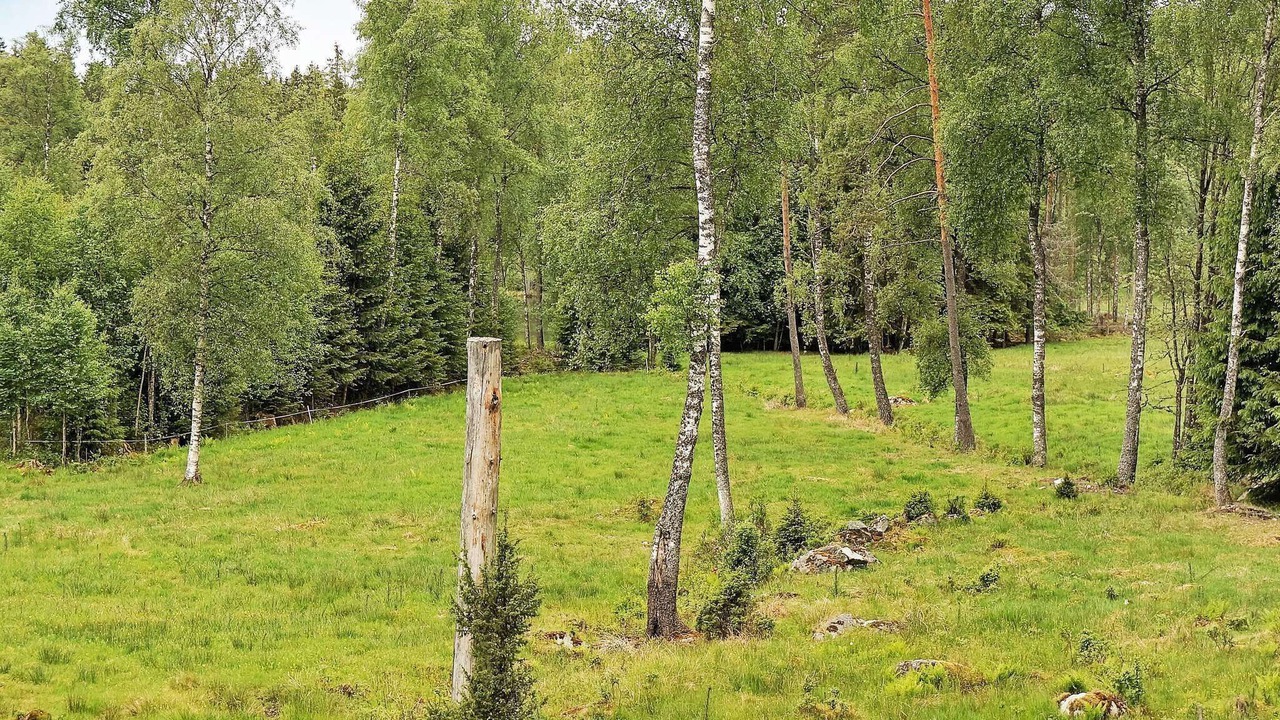Photo of Outdoor in Savsjo