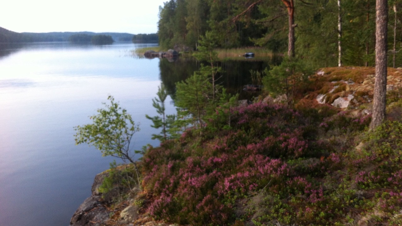 Photo of Outdoor in Skillingsfors