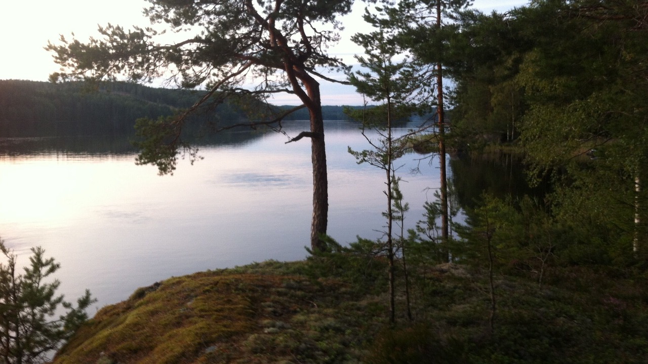 Photo of Outdoor in Skillingsfors