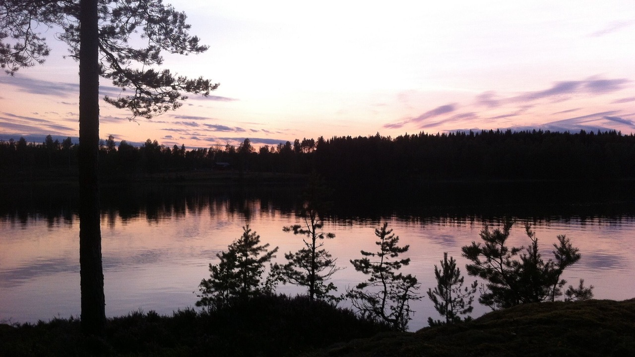 Photo of Others in Skillingsfors