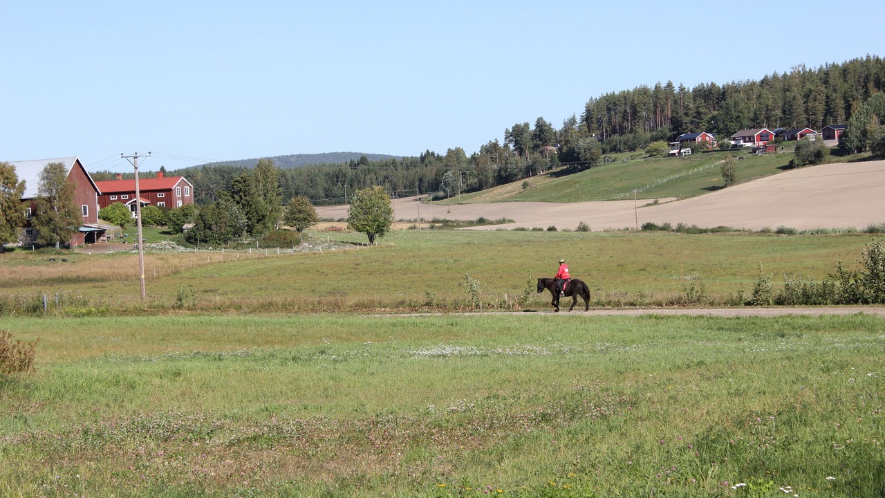 Photo of Outdoor in Hudiksvall