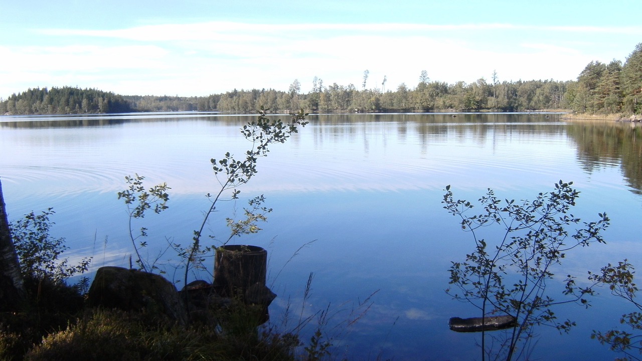 Photo of Outdoor in Hallaryd