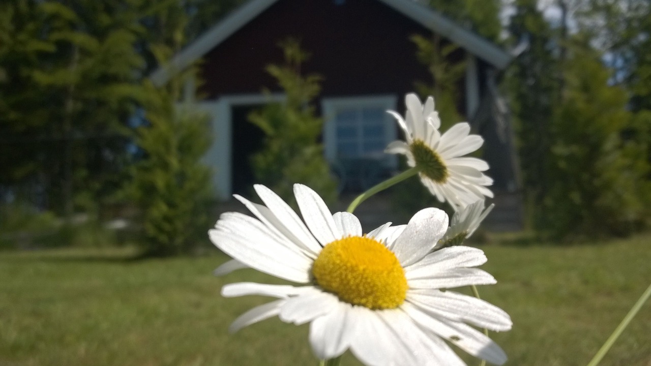 Photo of Outdoor in Hallaryd