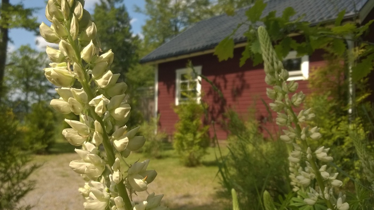 Photo of Outdoor in Hallaryd