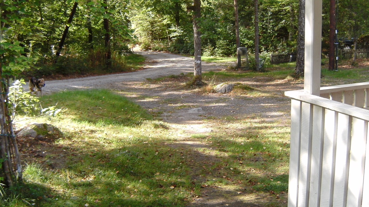 Photo of Outdoor in Hallaryd