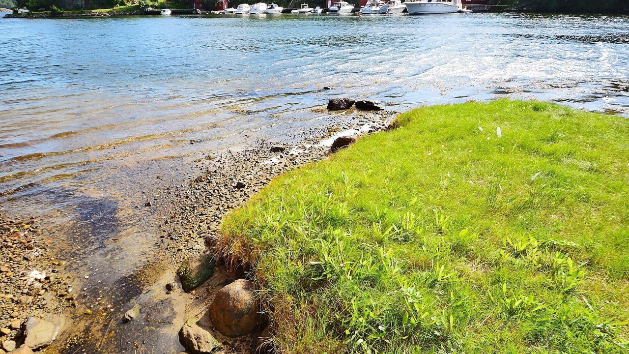 Photo of Others in Arendal