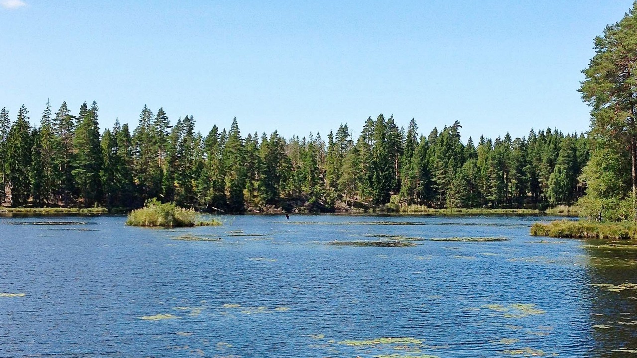 Photo of Others in Hjortkvarn