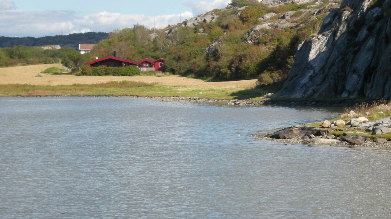 Photo of Others in Halleviksstrand
