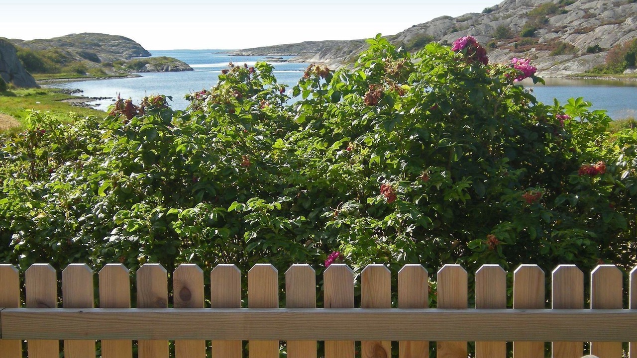 Photo of Outdoor in Halleviksstrand