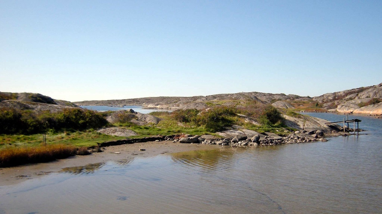 Photo of Others in Halleviksstrand