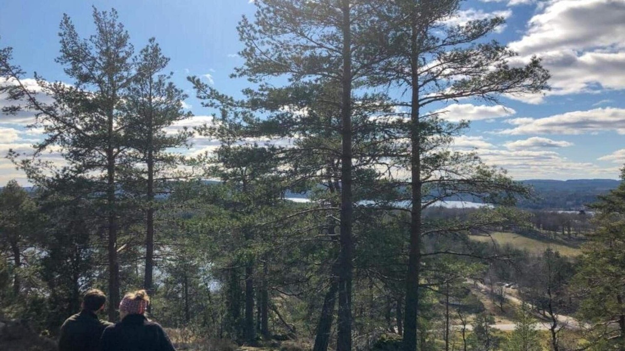 Photo of Others in Fengersfors